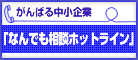 ����΂钆����Ɓu�Ȃ�ł����k�z�b�g���C���v