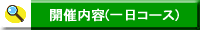 �J�Ó��e(����R�[�X)