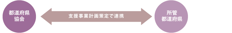 スキーム